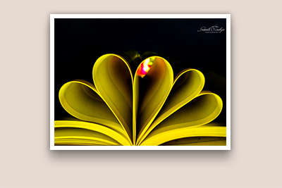 Abstract Photography SrikanthAnubojaPhotography